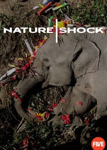 Nature Shock thumbnail