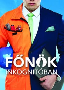 Főnök inkognitóban thumbnail
