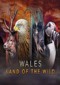 Wales: Land of the Wild thumbnail