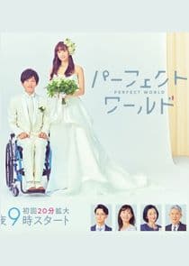 Perfect World thumbnail