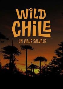 Wild Chile: Un Viaje Salvaje thumbnail