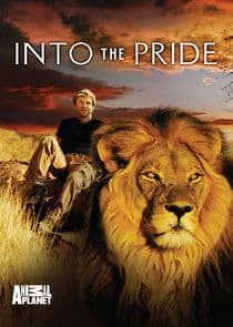 Into the Pride thumbnail