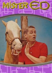 Mister Ed thumbnail