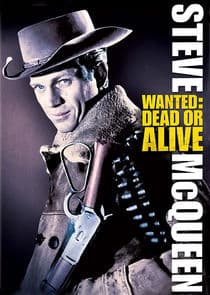 Wanted: Dead or Alive thumbnail