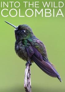 Into the Wild Colombia thumbnail