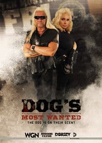 Dog's Most Wanted thumbnail