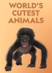 World's Cutest Animals thumbnail
