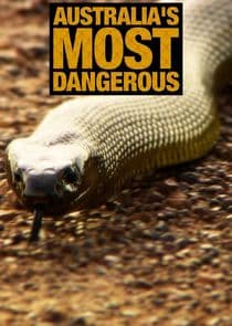 Australia's Most Dangerous thumbnail
