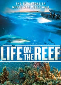 Life on the Reef thumbnail