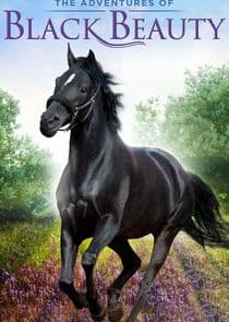 The Adventures of Black Beauty thumbnail