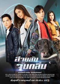 Sai Lub Jub Klin thumbnail