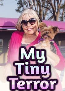My Tiny Terror thumbnail