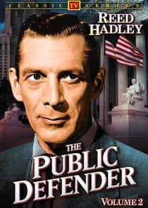 The Public Defender thumbnail