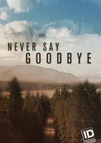 Never Say Goodbye thumbnail