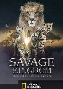 Savage Kingdom thumbnail