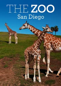 The Zoo: San Diego thumbnail