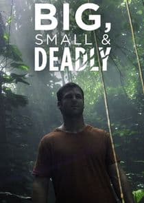 Big, Small & Deadly thumbnail