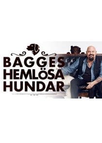 Bagges hemlösa hundar thumbnail