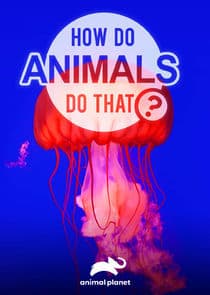 How Do Animals Do That? thumbnail