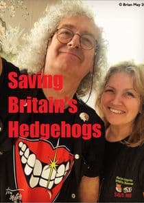 Saving Britain's Hedgehogs thumbnail