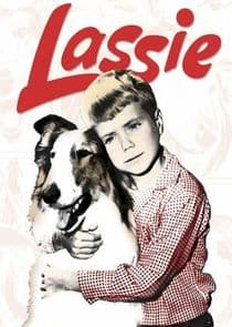 Lassie thumbnail