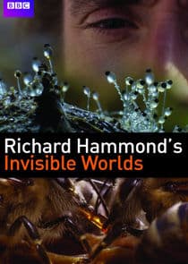 Richard Hammond's Invisible Worlds thumbnail