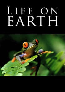Life on Earth thumbnail