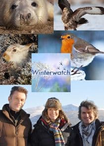 Winterwatch thumbnail