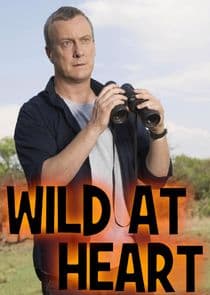 Wild at Heart thumbnail