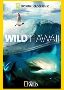 Wild Hawaii thumbnail
