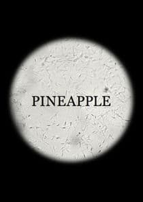 Pineapple thumbnail
