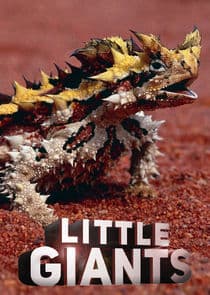 Little Giants thumbnail