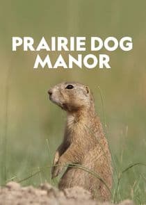 Prairie Dog Manor thumbnail