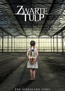 Zwarte Tulp thumbnail