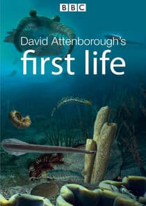 David Attenborough's First Life thumbnail