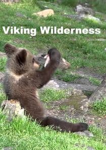 Viking Wilderness thumbnail