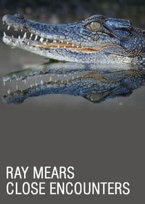 Ray Mears: Close Encounters thumbnail
