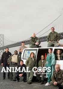 Animal Cops: San Francisco thumbnail