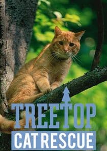 Treetop Cat Rescue thumbnail