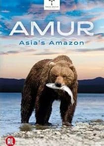 Amur Asia's Amazon thumbnail