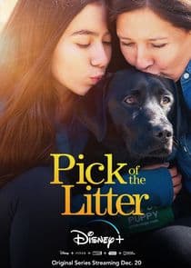 Pick of the Litter thumbnail