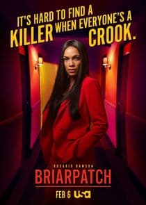 Briarpatch thumbnail