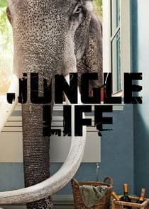 Jungle Life thumbnail