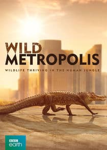 Wild Metropolis thumbnail