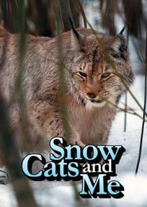 Snow Cats and Me thumbnail
