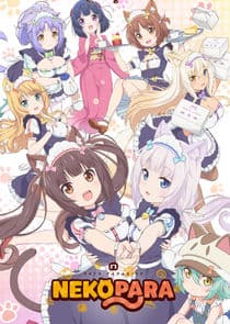 Nekopara thumbnail