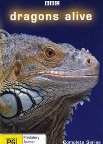Dragons Alive thumbnail