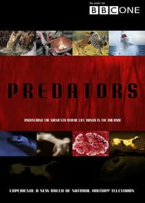 Predators thumbnail