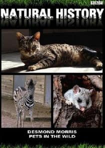 Pets in the Wild thumbnail