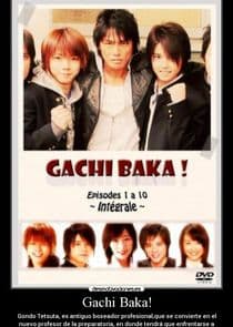 Gachi Baka! thumbnail